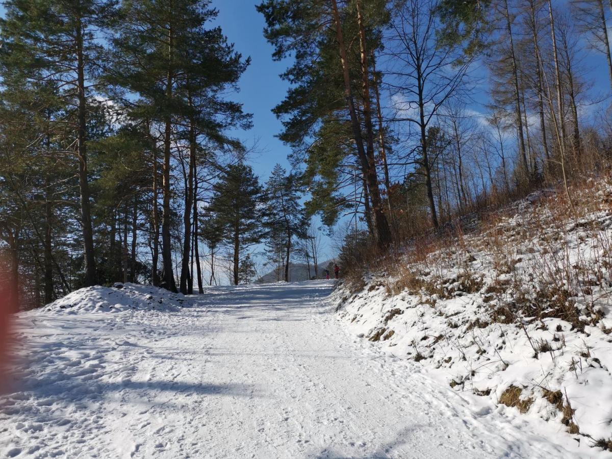 Chata Podolina Terchová Exteriér fotografie