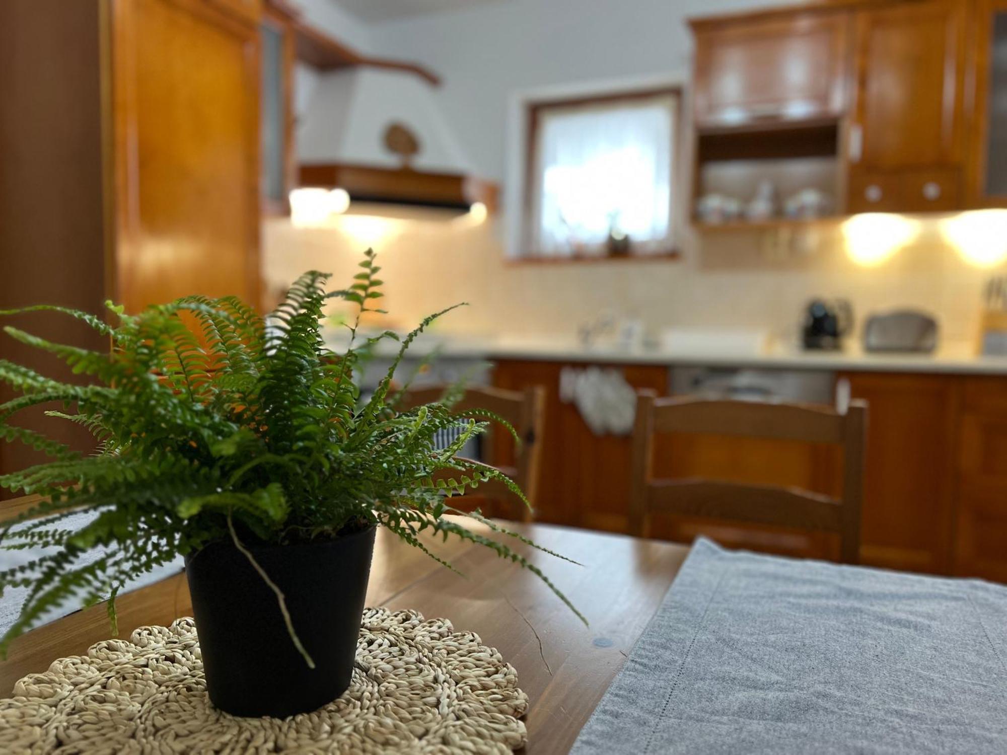 Chata Podolina Terchová Exteriér fotografie